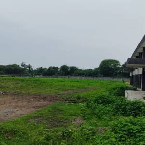 WhatsApp_Image_2025-07-19_at_2.30.20_PM_original