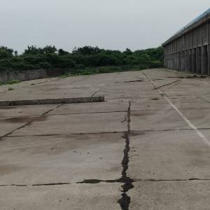 WhatsApp_Image_2025-07-19_at_2.30.24_PM_original