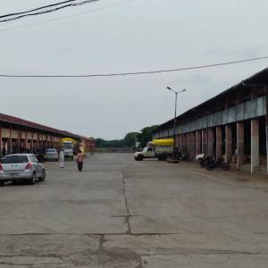 simenta_roda_original