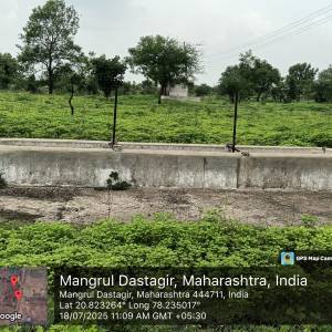 panyaca_hauda_original_copy_1